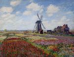 Fields of Tulip With The Rijnsburg Windmill